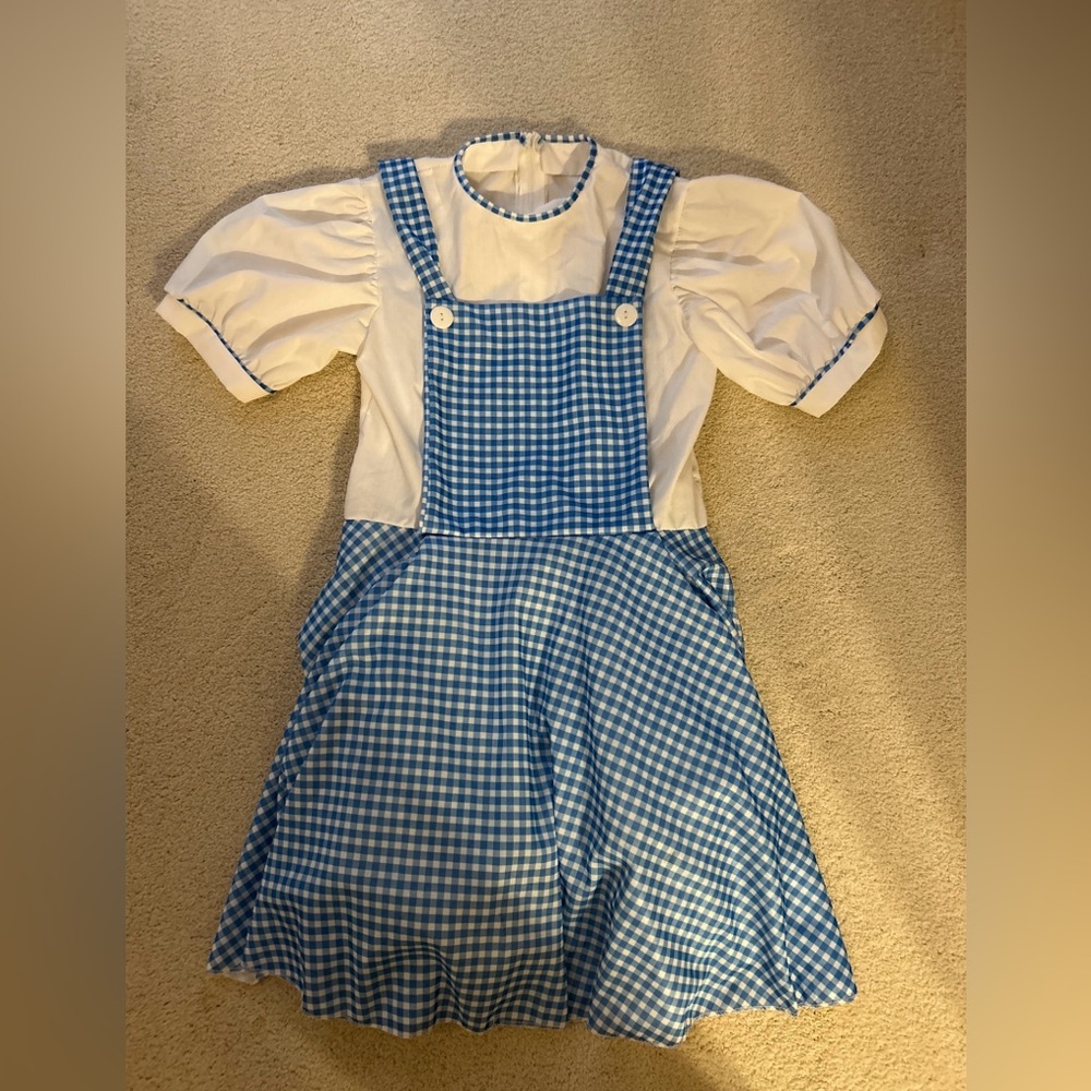Rubie’s Wizard of Oz Dorothy costume size girls large
